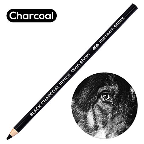 qianshan 2 Pcs Black White Color Charcoal Pencils, Professional Hight Quality Sketch Highlight Charcoal Wooden Pencils for Artist Drawing, Sketching, Blending, 2 Colors of 1 Black, 1White - color: 1 black+1 white charcoal