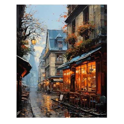 Reivworl Landscape Paint by Numbers Kit for Adults, Street Paint by Number for Adults, Adult Paint by Number Kits for Gifts and Home Wall Decor 16x20 Inch - color: 14-Street, size: Without Frame
