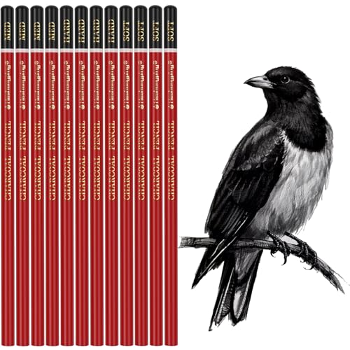 Heshengping Professional Charcoal Pencils Drawing Set -12 Pieces Soft, Medium Hard Charcoal Pencils for Drawing Sketching Shading Artist Pencils for Beginners Artists - style: 12 Pack Sketching Charcoal Pencils