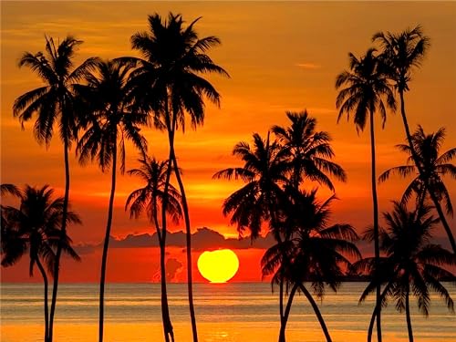 Yunnuo Palm Tree Diamond Art Kit for Adults and Beginners, 12x16 in | Full Round Drill Diamond Dot Canvas, Tropical Beach Sunset, 5D DIY Landscape Gem Art Painting for Home Wall Decor - color: B001-Beach Sunset 30x40cm