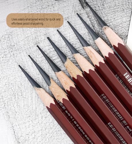 Professional Drawing Charcoal Pencils Set, 10 Piece Art Supplies with Soft Medium Hard for Sketching,Charcoal Art,Drawing Charcoal Pencils for Sketching,Art Supplies(soft 10 Piece)