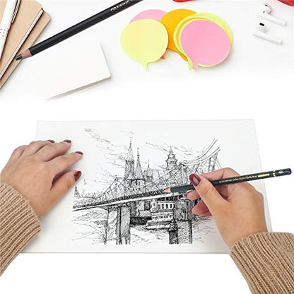 RVOGJP TAMATA Professional Drawing Sketching Pencil Set - 12 Pieces Art Graphite Pencils(12B - 4H), Ideal for Drawing Art, Sketching, Shading, for Beginners & Pro Artists