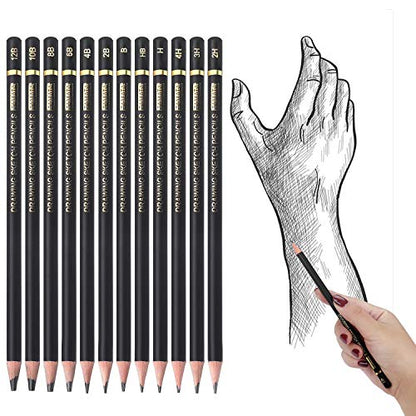 RVOGJP TAMATA Professional Drawing Sketching Pencil Set - 12 Pieces Art Graphite Pencils(12B - 4H), Ideal for Drawing Art, Sketching, Shading, for Beginners & Pro Artists