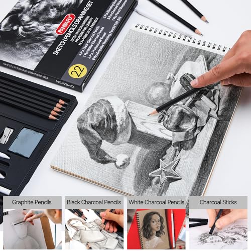 PANDAFLY Drawing Sketching Pencil Set, 22 Piece, Graphite Pencils (12B-2H)