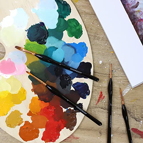 COLOUR BLOCK 12PC Artist Paint Brush Set in Leather Case for Easy Storage, Detail Paint Brushes kit, Miniature Art Set, Craft Supplies for Acrylic, Watercolor, Gouache and Model Painting
