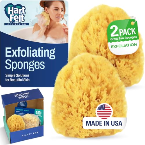 HartFelt Exfoliating Grass Sea Sponge Beauty Box | 2 Bath Sponges for Shower Women & Men 4in | Natural Sponge with Mesh Bag for Cleaning & Drying | Cleanses Skin from Dirt & Excess Oil - Gift Box - size: 1 Count (Pack of 2), style: Grass Sea Sponge