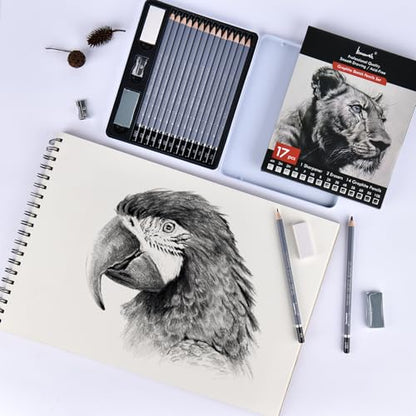 Brusarth Professional Sketch Graphite Pencils for Drawing Set,17 Pcs