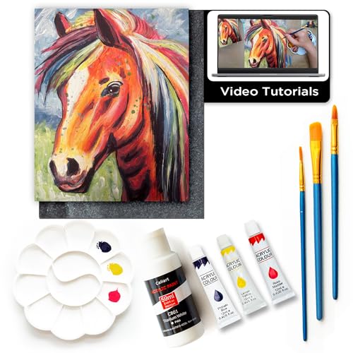 DIY Painting Class Kits for Adults with Video Tutorials, Learn to Paint Radiant Horse, How to Paint with Acrylic Paint Sets for Adult, 9 Peices Art Set & Painting Supplies Gifts for Mom - color: Radiant Horse