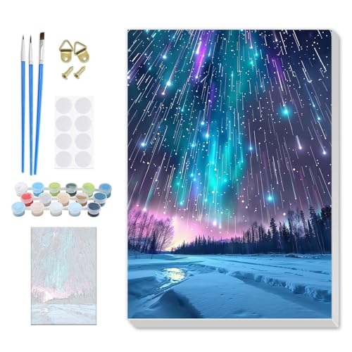 SENQAO Christmas Paint by Numbers for Adults Framed, Aurora Landscape Adults' Paint-by-Number Kits, Adult Paint by Number Kits on Canvas, Acrylic Number Painting for Home Decor, 8x12inch - color: Aurora