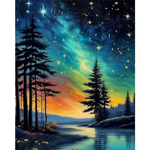 Starry Sky Paint by Numbers for Adults, Landscape Paint by Number on Canvas | DIY Abstract Landscape Oil Painting for Gift Home Wall Decor, Without Frame (16x20 inch) - color: MT12308