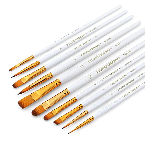 Transon 20pcs Artist Painting Brush Set for Acrylic Watercolor Gouache Hobby Craft Face Rock Painting Black and White Color - color: Black and White