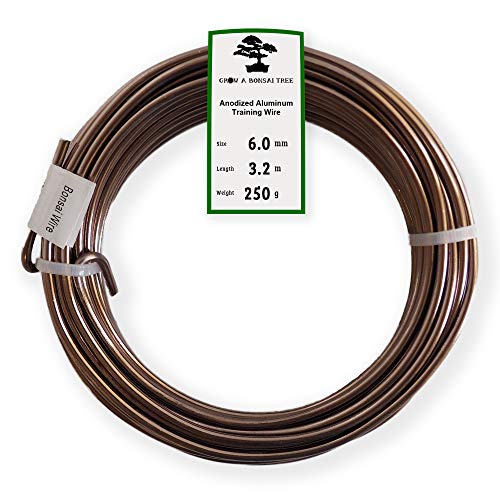 Anodized Aluminum 6.0mm Bonsai Training Wire 250g Large Roll (10.5 feet) - Choose Your Size and Color (6.0mm, Brown) - color: Brown, size: 6.0mm