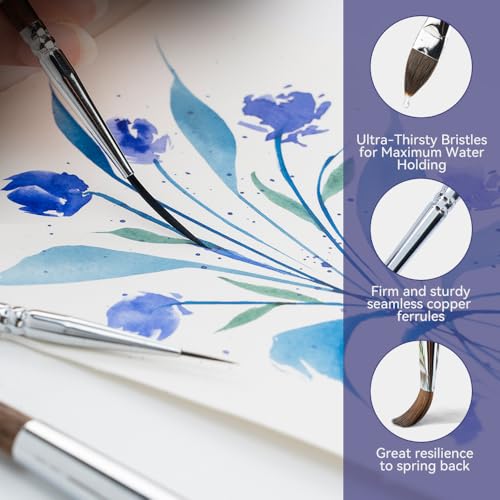 Transon 11pcs Sable Watercolor Brushes Professional Brush Set for Watercolor Painting Gouache Painting - color: Brown