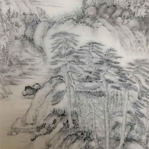 HAKZEON 400 Sheets Chinese Japanese Calligraphy Xuan Paper, 13.6 x 27.2 Inche Sumi Ink Drawing Rice Paper, Rice Paper for Writing Painting Drawing Practice, Brush Ink Writing, Painting Without Grids
