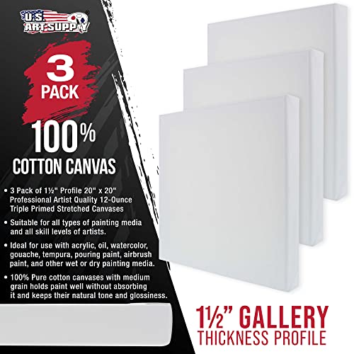 U.S. Art Supply 20"x20" Stretched Canvas for Painting, Gallery Depth 3-Pack - size: 20" x 20"