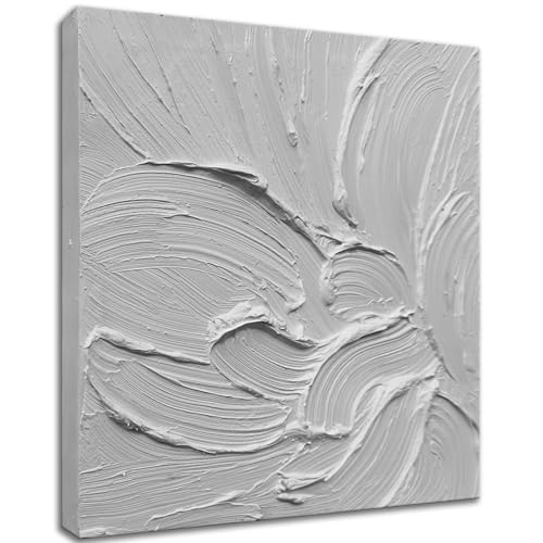 zoinart Hand Painted White Canvas Wall Art, 20x20 Inches Abstract Thick Textured Painting, Plaster Wall Art - color: BL-060