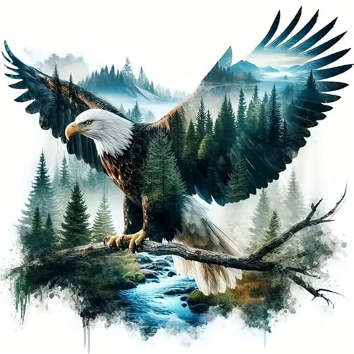 Diamond Art Kits for Adults,Eagle Diamond Painting Kits for Beginner - color: Eagle