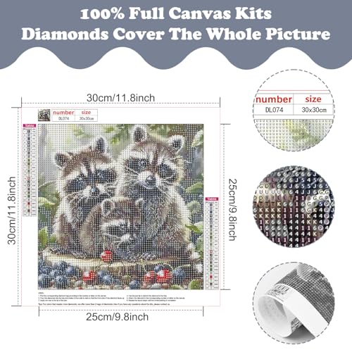 SENQAO 5D Animals Diamond Painting Kits for Adults, Raccoon Family Diamond Art Kits for Adults Beginner, DIY Full Drill Diamond Dot Gem Painting for Home Wall Decor 12x12inch - color: raccoon