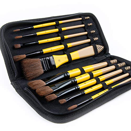 ARTIFY 10 Pieces Paint Brush Set, Intermediate Series, Includes a Carrying Case, Premium Horse Bristle Brushes for Acrylic, Watercolor, Oil and Gouache Painting (Yellow - Horse Hair) - color: Yellow - Horse Hair