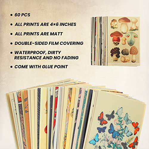 Containlol 60 Pcs Vintage Posters, Wall Collage Kit Aesthetic Pictures | Cottagecore Room Decor Maximalist Art Paintings Prints Botanical Illustration Prints Photo Wall Collection Dorm Bedroom Decor