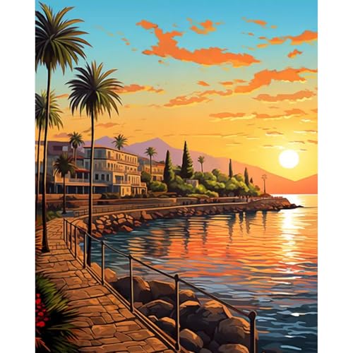 Paint by Numbers Kit for Adults, Sunset DIY Painting Kit, 16x20 Inch - color: CYOP1P03