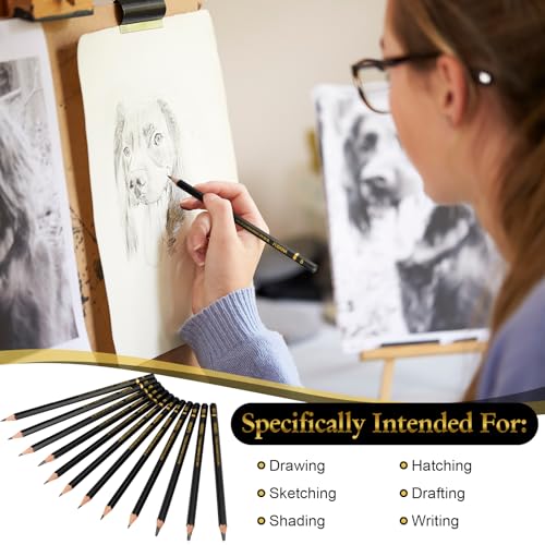 72 Pcs Sketching Pencils, 12B-4H Graphite Drawing Pencils | Art Set for Artists Beginners, Bulk Supply for Studios, Charcoal Graphite Blend, Shading Sketching, Gift-ready Packaging