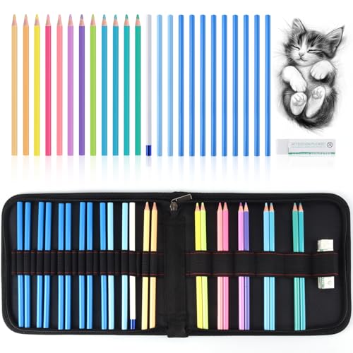Professional Drawing Set,12 Colored Pencils,12 Graphite Pencils,Eraser,Case | Portable Travel Colored Pencil Case,Sketching Shading Blending Art Supplies,Gifts for Artists Adults Beginners.Macaron Black - color: Set-Macaron