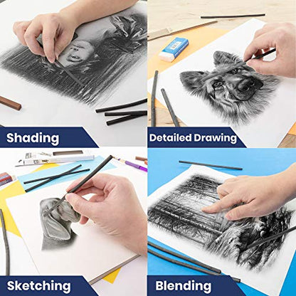 Pacific Arc Artist Vine Charcoal, Medium, Black 4 Charcoal Sticks for Drawing, Sketching, and Fine Art - style: Medium | 4 Sticks