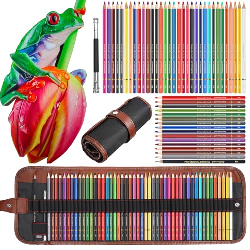 Heshengping 48 Color Colored drawing sketching Pencils Set for Coloring Books Drawing kit Art Supplies with Roll up Canvas Case gift for Adults Beginners familys - color: 53 Pack including 48 Color Colored Pencils set