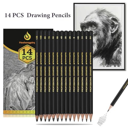 Sketch Pencils Set for Drawing, 14 Pack Graphite, for Art, Pencil kit for Sketching, Shading, Artist Pencils for Beginners Pro Artists