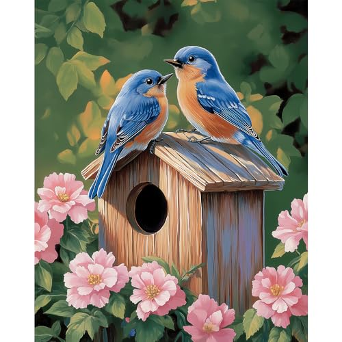 Natuyalo Paint by Numbers Kit for Adults, Blue Birds Paint By Number Kits for Beginner Animals House Acrylic Painting Kit Adults' Paint-by-Number Kits for Gift Home Wall Decor 16x20 inch - color: Color-09