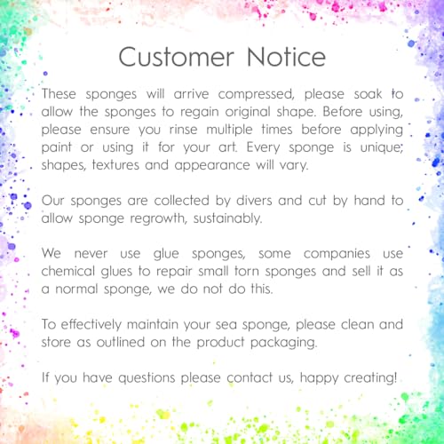 Naroa Artist Natural Sea Sponges for Painting 4 Pack | Unique Tool Set Unbleached | Great for Artists & Children | Acrylic, Watercolor, Marbling, Texturing, Pottery, Ceramics