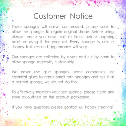 Naroa Artist Natural Sea Sponges for Painting 4 Pack | Unique Tool Set Unbleached | Great for Artists & Children | Acrylic, Watercolor, Marbling, Texturing, Pottery, Ceramics