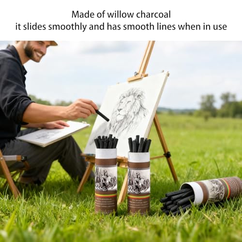 100 Pcs Willow Charcoal Sticks,4 Size Natural Charcoal Art Supplies for Artists,Beginners,Students,Perfect for Drawing,Sketching,Shading, and Fine Art Christmas Gifts(2-4mm/4-5mm/5-7mm/7-9mm)