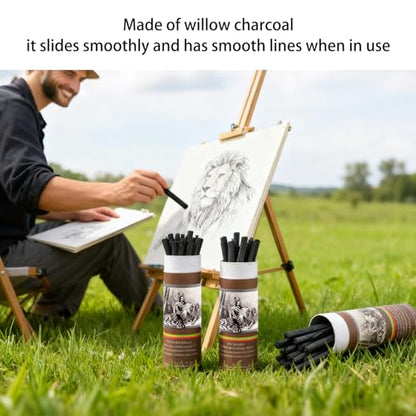 100 Pcs Willow Charcoal Sticks,4 Size Natural Charcoal Art Supplies for Artists,Beginners,Students,Perfect for Drawing,Sketching,Shading, and Fine Art Christmas Gifts(2-4mm/4-5mm/5-7mm/7-9mm)