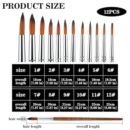 12 Pack Watercolor Brushes Professional Watercolor Painting Brushes Round Paint Brushes Detail Paint Brushes for Acrylics Gouache Oil