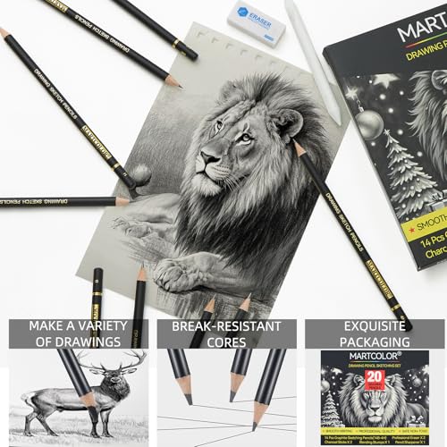 MARTCOLOR Drawing Sketching Pencil Set, 20 Pack Graphite Pencils (14B-4H)