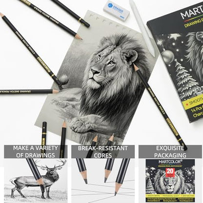 MARTCOLOR Drawing Sketching Pencil Set, 20 Pack Graphite Pencils (14B-4H)