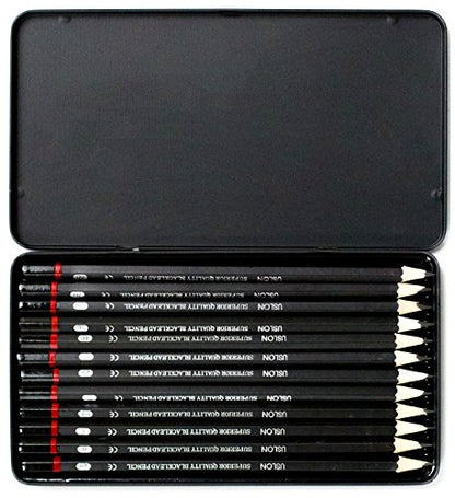 Professional Sketch pencils Drawing pencils set for Kids and Adults,Art sketching pencils for Artists Beginner(8B-2H).(24-Count) - size: 1 Count (Pack of 24)