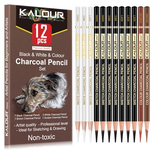 KALOUR Pro Colored Charcoal Drawing Set,12 Pieces Pastel Chalk Pencils for Sketching, Shading, Blending, Portrait, Black White Charcoal for Beginners & Artists - style: 12 Colored Charcoal Pencils