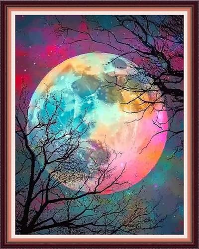 Fanxvivy Stamped Cross Stitch Kits for Beginners Full Range of Cross Stitching Preprinted Embroidery Kits for Adults, 11CT Embroidery Pattern Needlepoint Kits-Magical Moonlight 16x20 inch - color: Artdesign11
