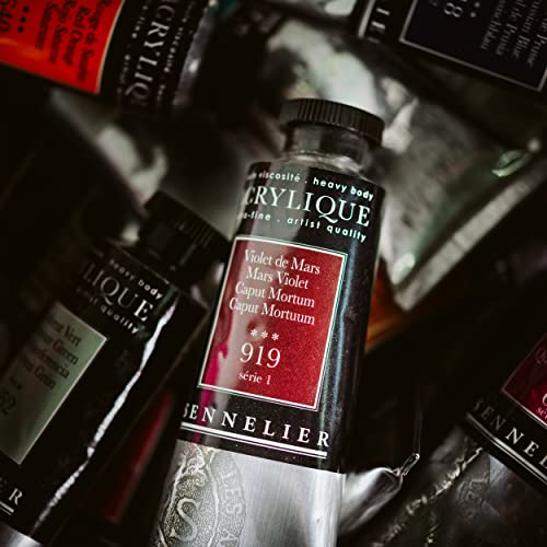 Sennelier Extra-Fine Artists' Acrylic, 60ml, Burnt Sienna S1, 2.02 Fl Oz (Pack of 1) - color: Burnt Sienna S1, size: 2 Fl Oz (Pack of 1)