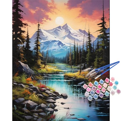 TOCARE Mountains Paint by Numbers Kit for Adults Beginners, Adult Paint by Number Kits Mountain Streams, Acrylic Adults’ Paint-by-Number Kits Nature 16x20inch - color: Mountains Stream
