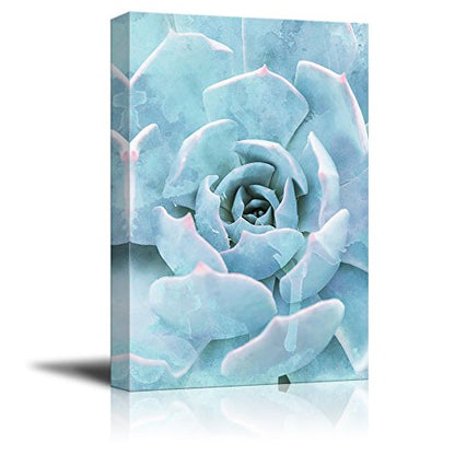 wall26 Canvas Wall Art - Closeup of a Blue Succulent Plant - Giclee Print Gallery Wrap Modern Home Art Ready to Hang - 12x18 inches - color: Artwork - 02, size: 18"L x 12"W