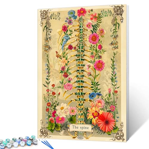 Aihonmin Vintage Flowers Paint by Number Kits Adult Beginners,Bone Organs Anatomy Painting Kit Picture Kits for Home Wall Art Office Decor,Painting with Brushes and Acrylic 16x20 inch DIY Frame - color: Organs-07, size: 16''x20''(DIY Frame)