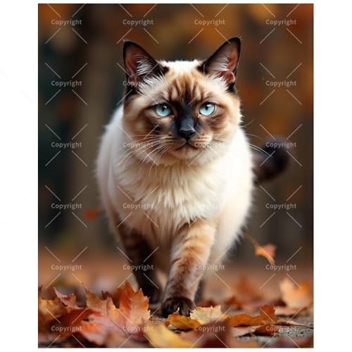 Autumn Siamese Cat Paint by Numbers Kit for Adults - DIY Fluffy Blue-Eyed Cat with Leaves Painting on Canvas 12x16In, Framed Acrylic Paint Set, Suitable for Beginners, Pet Art for Decoration - color: FM04718, size: 12×16in Framed
