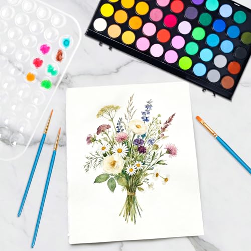 48 Color Solid Watercolor Paint Set with 3 Wooden Brushes for Adults Kids