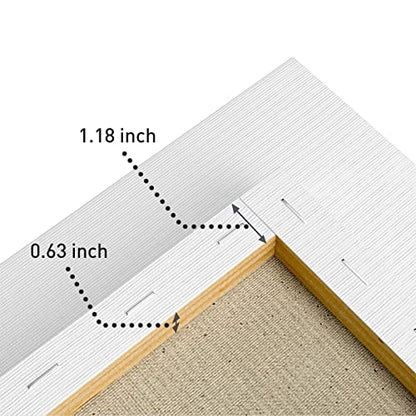 GOTIDEAL Stretched Canvases for Painting, 14x18 Inch Set of 7, Primed White - color: White, size: 14"x18"
