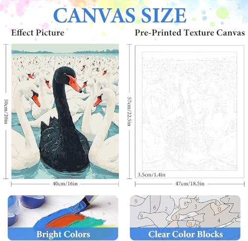 ZRIZQ Paint by Numbers Kit for Adults Beginner Swan,Animal,16x20 | Full set with wooden brushes,rolled canvas,rich paints.Calming activity.Beginner friendly.Just open and paint. - color: 16"X20"Rolled Canvas(Frameless)-Black Swan