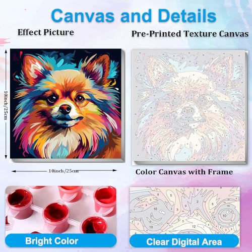 Artunion Framed Paint by Numbers Kit for Adults Beginners & Kids Ages 8-12,Pomeranian Paint by Number with Frame,Dog Animal Paint by Numbers Kit on Canvas 10 * 10 Inch Without Easel - color: ZXT-380-F